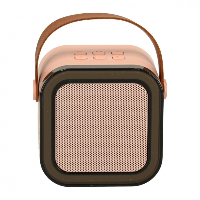 Set Karaoke con Microfono e Altoparlante Portatile Bluetooth USB LED Rosa