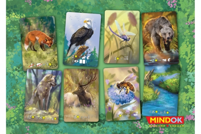 Gioco di Carte Ecosistema
