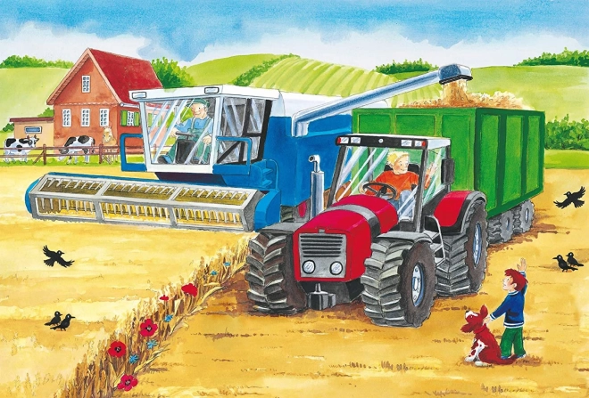 Fattoria vivente in azione