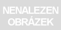 Ciambella Gonfiabile Per Nuoto Bestway