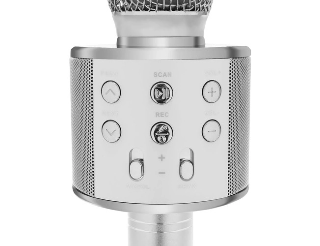 Microfono Karaoke Wireless con Altoparlante