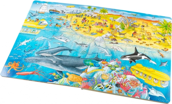 Avventure al mare e nell’oceano