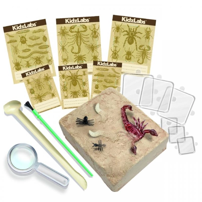 Set completo di strumenti