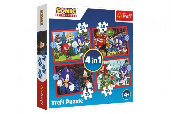 Puzzle Avventure di Sonic