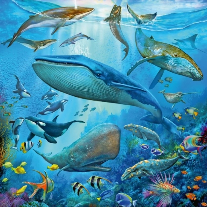 Ravensburger puzzle vita oceanica
