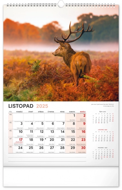 Calendario da parete 2025 cacciatore e natura ceca