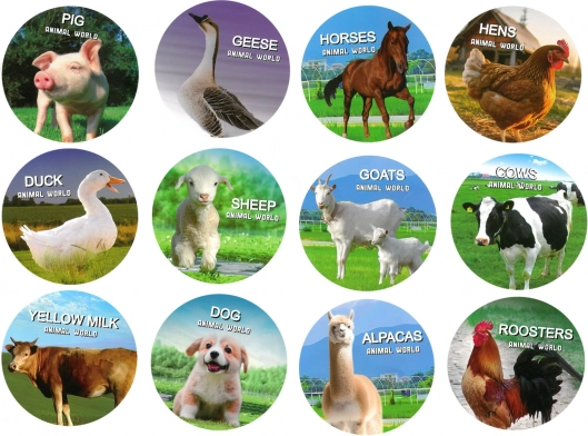 Set di figurine di animali domestici in scatola