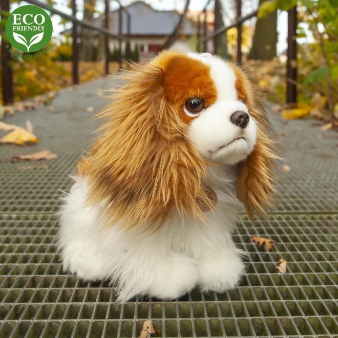 Cane di peluche cavalier king charles ECO-FRIENDLY 25 cm