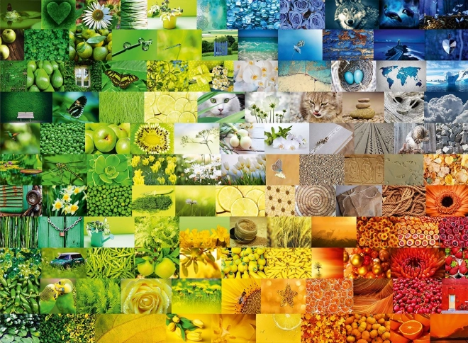 Puzzle meravigliose colori 3000 pezzi