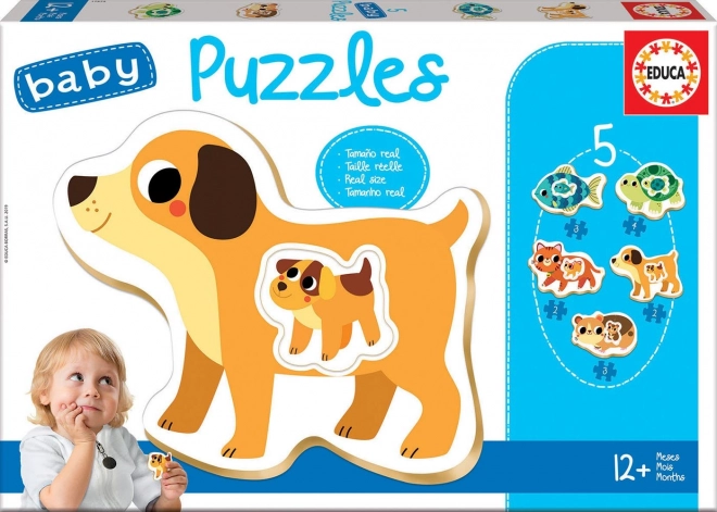 Puzzle Baby Animali Domestici EDUCA