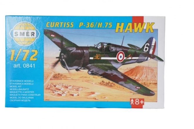 Modello Aereo Curtiss Hawk