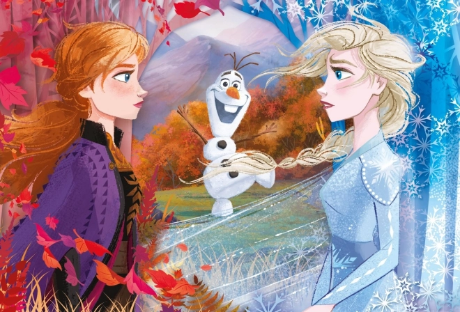 Puzzle MAXI 60 pezzi Frozen 2