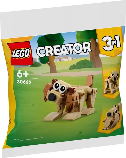 Animali Regalo 3 in 1 Creatore