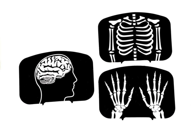 Apprendimento divertente con le radiografie