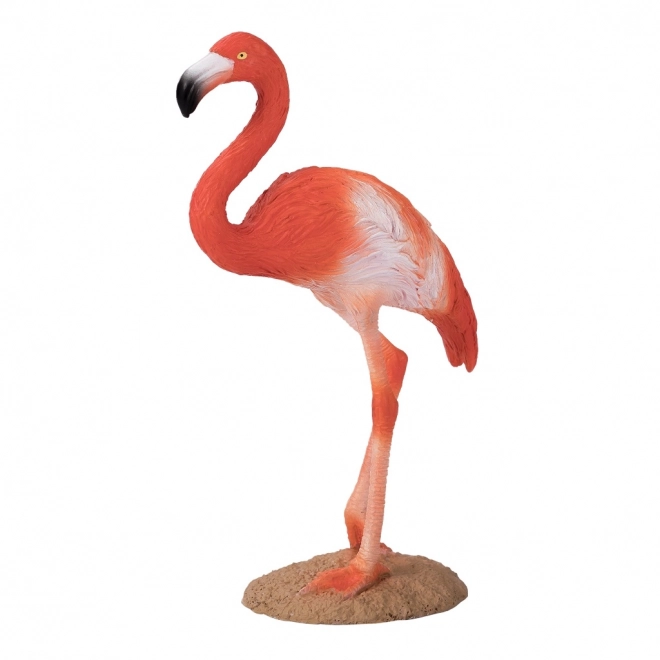 Flamingo caraibico Mojo