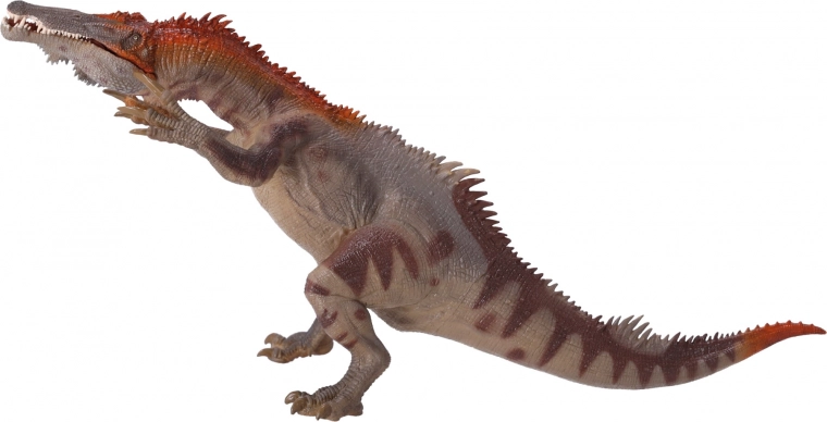 Adatta ai collezionisti