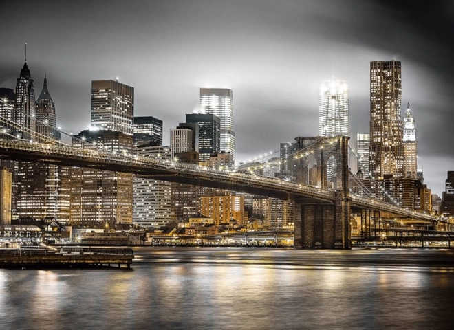 Puzzle 1000 pezzi New York di notte