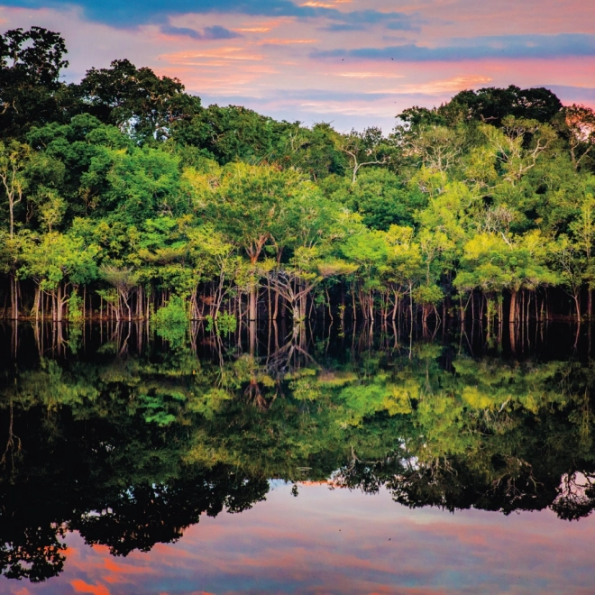 Calendario appunti Foreste Pluviali 2025