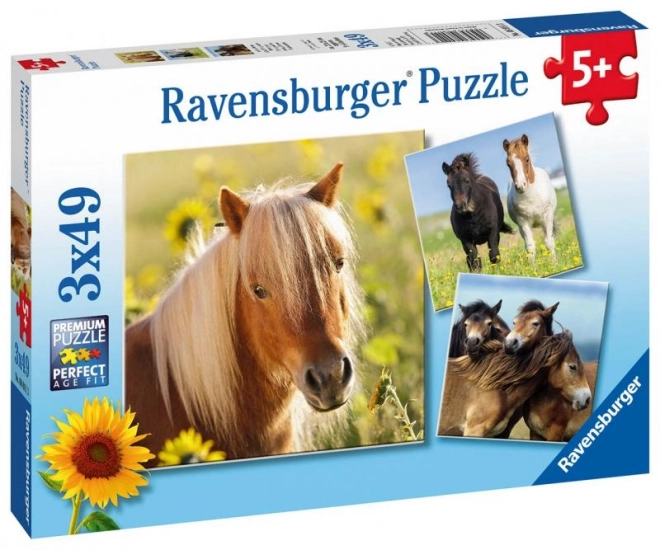 Puzzle Amore Cavalli di Ravensburger 3x49 pezzi