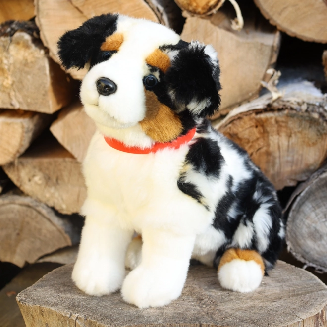 Cane Australiano Pastore in Peluche Eco-Friendly 30 cm