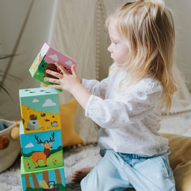 Cubi impilabili educativi TREFL Primo - Foresta