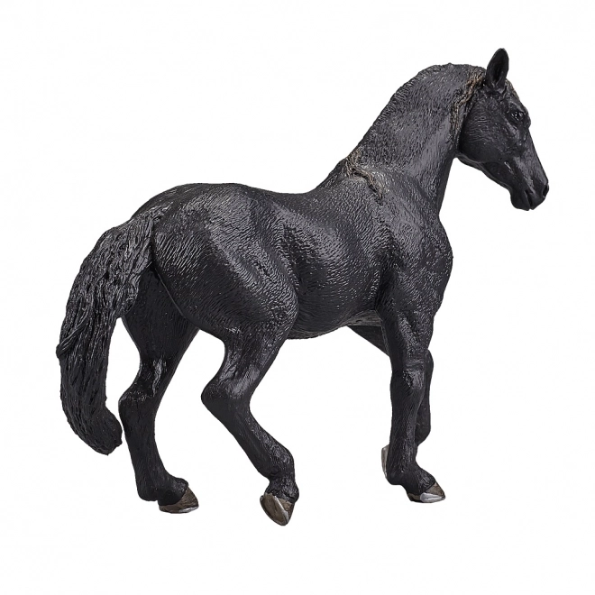 Cavallo Andaluso Nero Mojo