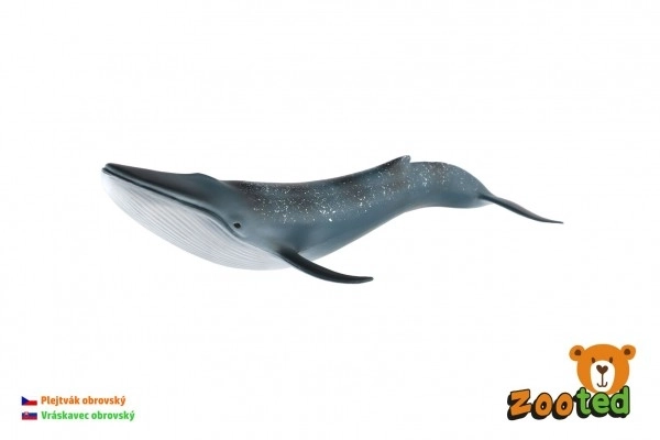 Balena Azzurra in Plastica 27 cm