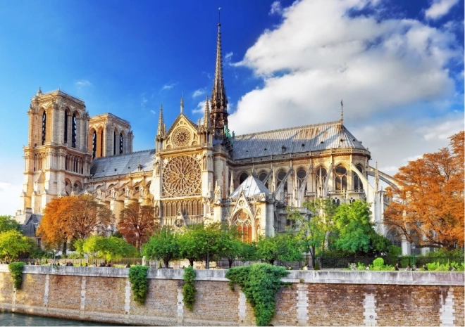 Puzzle Notre-Dame di Parigi 2000 pezzi