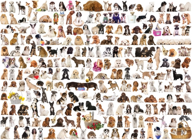 Puzzle Mondo dei Cani 1000 Pezzi