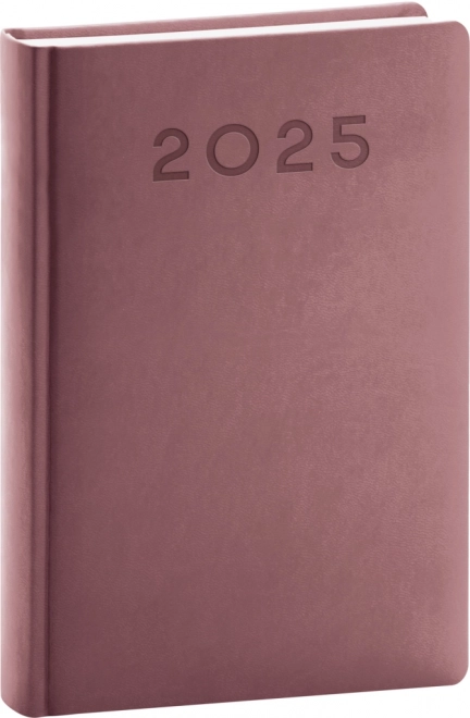 Agenda giornaliera Aprint Neo 2025 rosa 13 x 18 cm