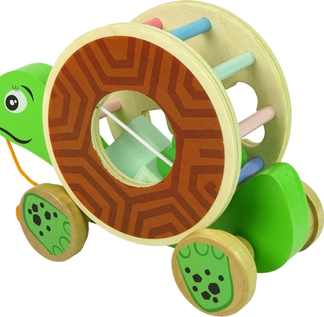 Legno sicuro e colori accattivanti