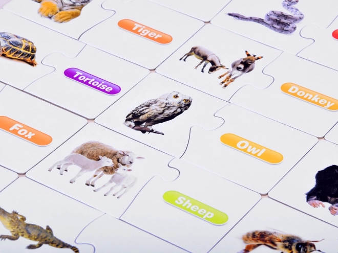 Puzzle educativi in inglese animali