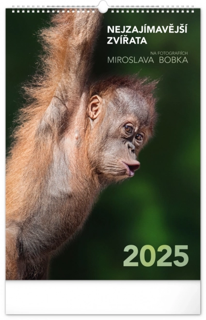 Notique calendario da parete animali affascinanti 2025