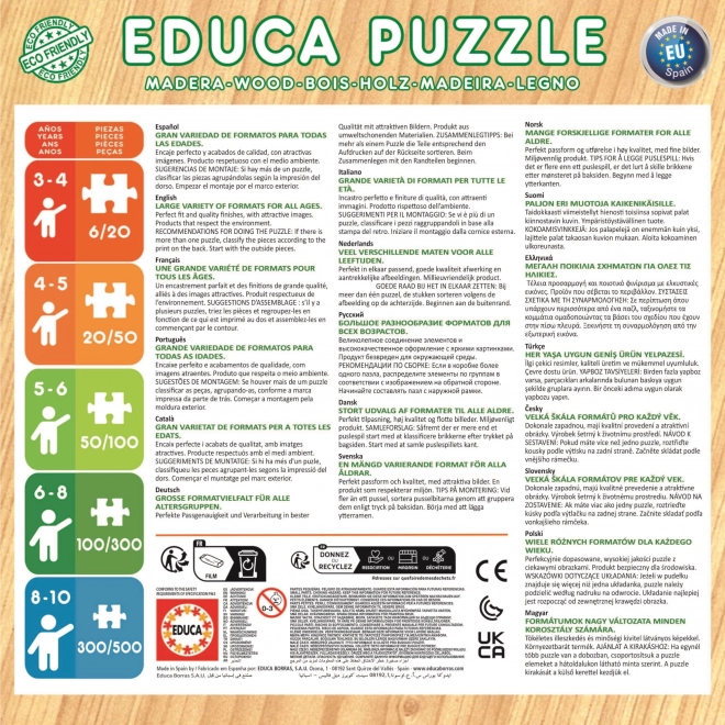 Puzzle in legno Frozen di EDUCA