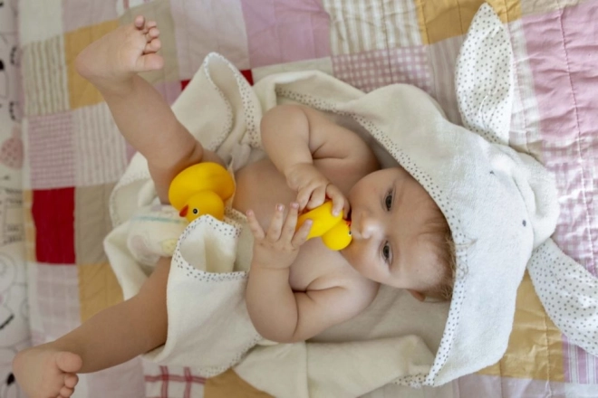 Famiglia di paperelle da bagno