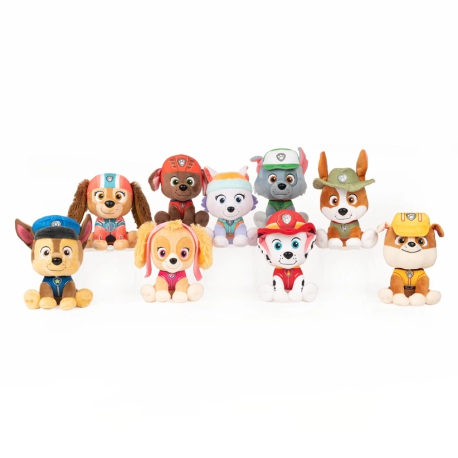 Collezione ufficiale PAW PATROL