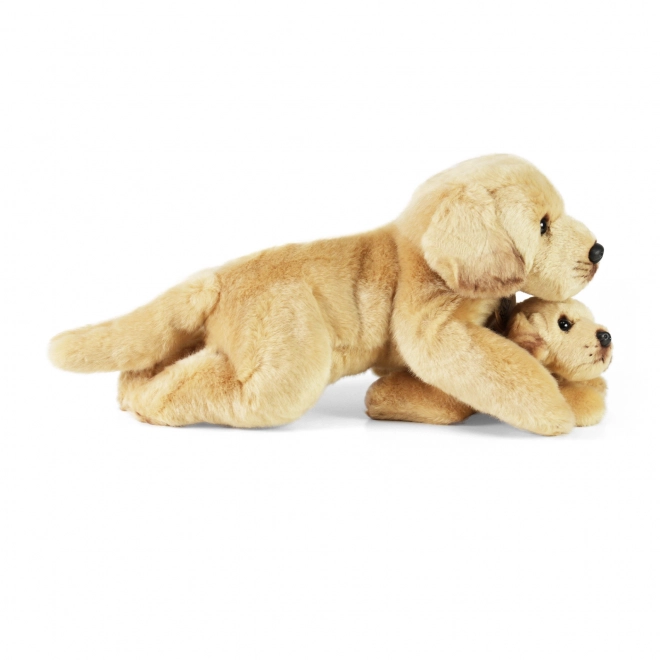 Cane di peluche Labrador con cucciolo sdraiato 25 cm