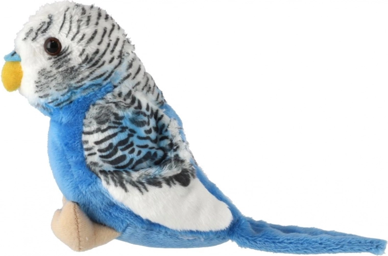 Dettagli realistici del piumaggio e dell’aspetto