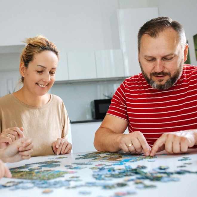 Divertimento sociale
