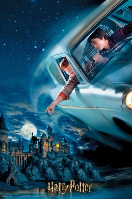 Puzzle 3D Harry Potter: Harry e Ron al Castello di Hogwarts