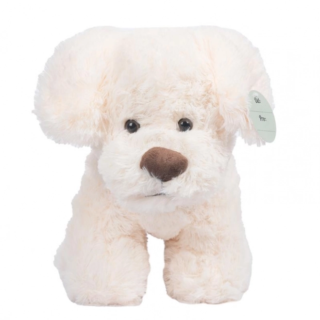 Cane di peluche crema 30 cm