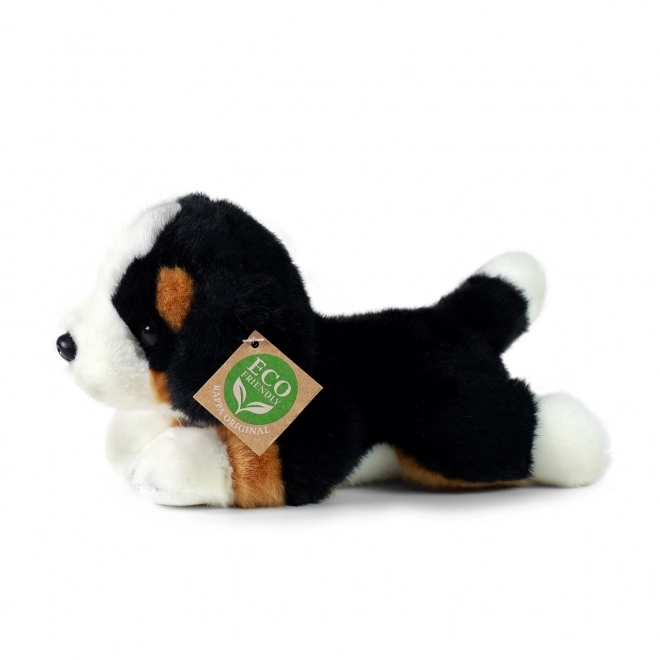 Bernese Mountain Dog giocattolo ecologico 20 cm