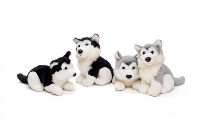 Husky di peluche 15 cm