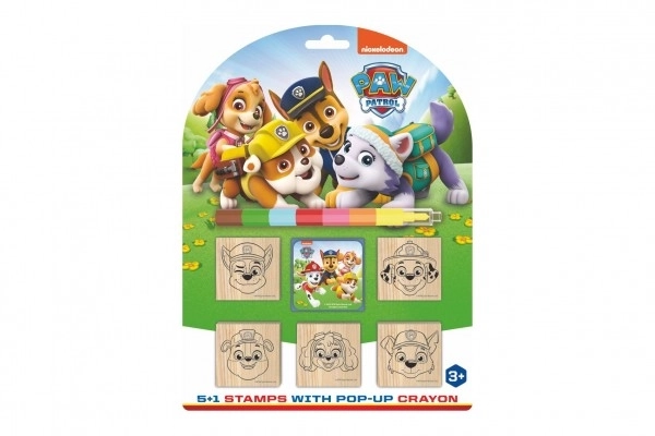 Set timbri in legno Paw Patrol