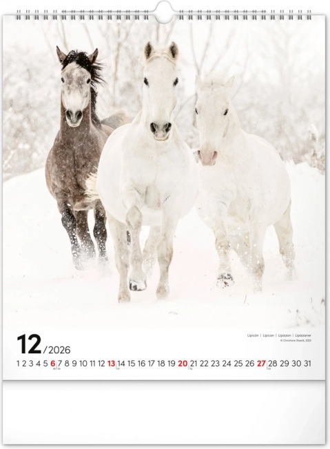 Calendario da parete cavalli 2026