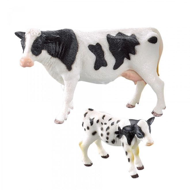 Mucca e vitello in un unico set