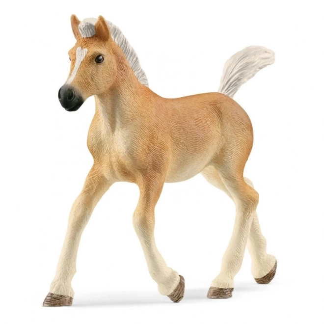 Figurina del puledro Haflinger