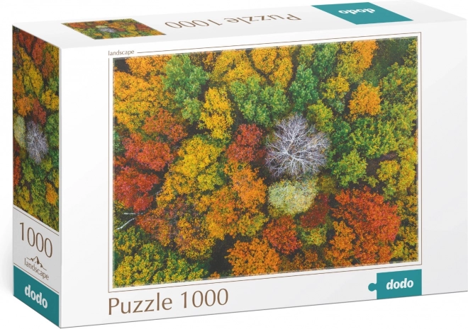 Puzzle Dodo Dzembronya Ukraina 1000 pezzi