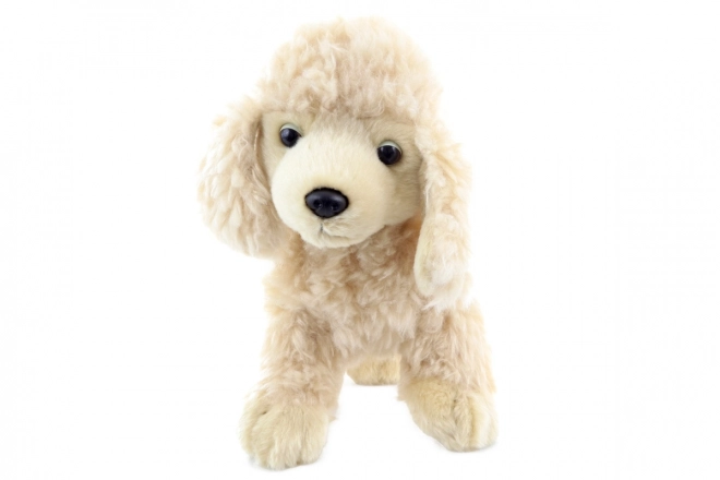 Peluche Poodle 24cm Eco-Friendly