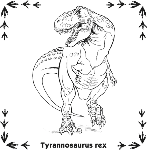 Pexeso Dinosauri